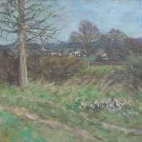View Of Woodchurch