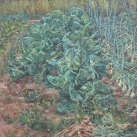 Cabbage Patch
