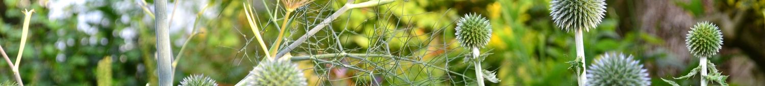 muriel & lily - handmade silver jewellery 