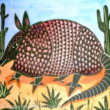 LONE ARMADILLO