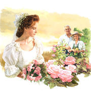 The Rose Garden