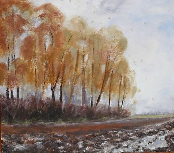 Autumn Trees with Ploughed Field