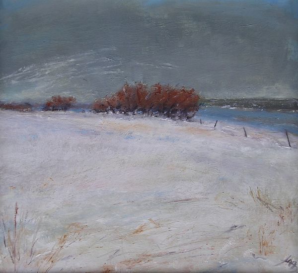 Another Snowstorm