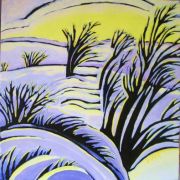 Sun and Shadows