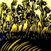 Golden Sun