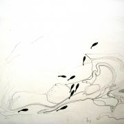 Icarus 1