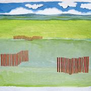 Snow Fences: summer