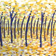 Beech Trees
