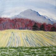 A Field