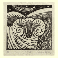 Aries (Mar21-Apr19)