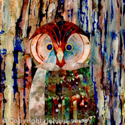 Wise Owl?