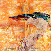 On Golden Pond