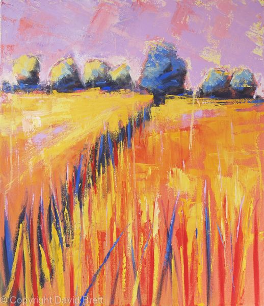 Orange Fields Sunset