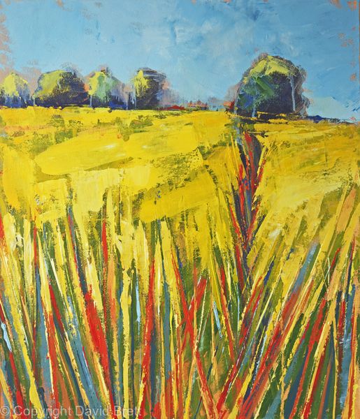 Summer Fields III