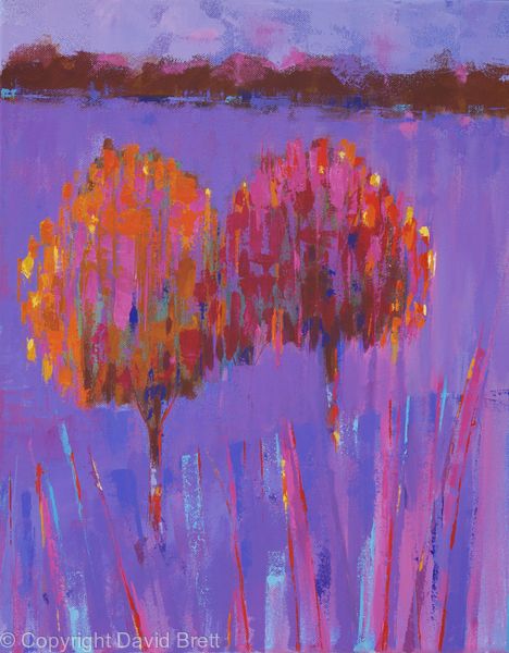 Northern Trees Sunset