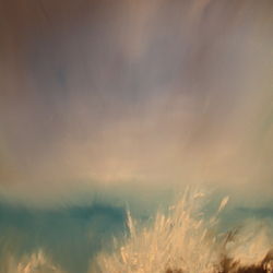 rocky shore
