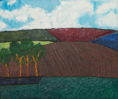 Ploughed Field