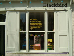 Blackbird window