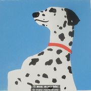 spottydog