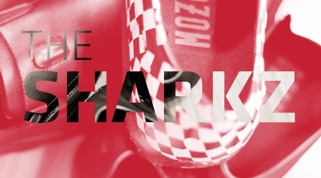 The Sharkz by Mozo