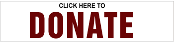 Donate Button