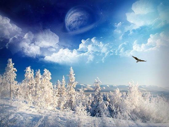 Snow Fantasy Snow Fantasy