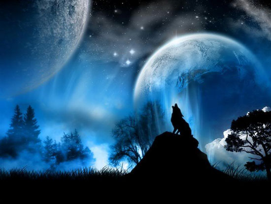 When the Wolf Cry When the Wolf Cry