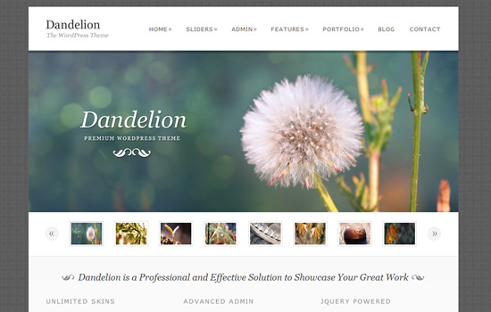 Dandelion - Powerful Elegant WordPress Theme Dandelion - Powerful Elegant WordPress Theme