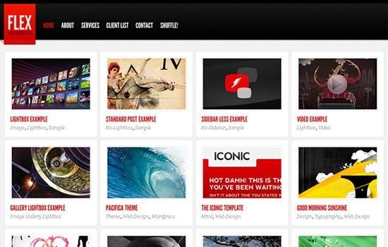 Flex for WordPress - A Portfolio & Blog Theme Flex for WordPress - A Portfolio & Blog Theme