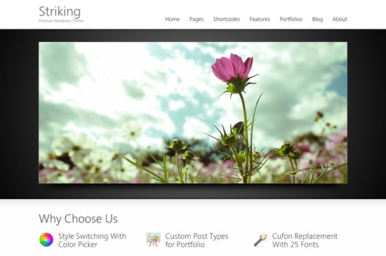Striking Premium Corporate & Portfolio WP Theme Striking Premium Corporate & Portfolio WP Theme