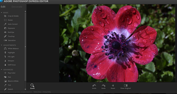 Adobe Photoshop Express Editor