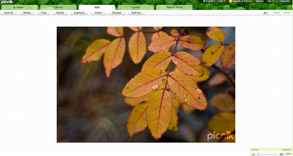 Picnik