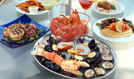 Wnellplates_2193_thumb_440x260