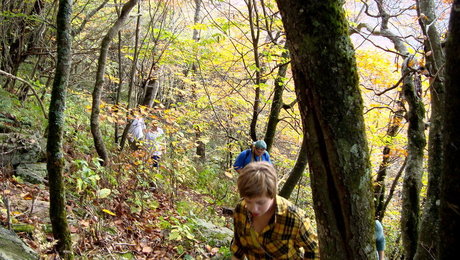 Dsc01012_thumb_460x260