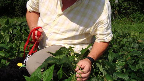 Dsc00811_thumb_460x260