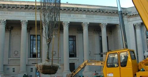 Spec_images_2_thumb_498x260