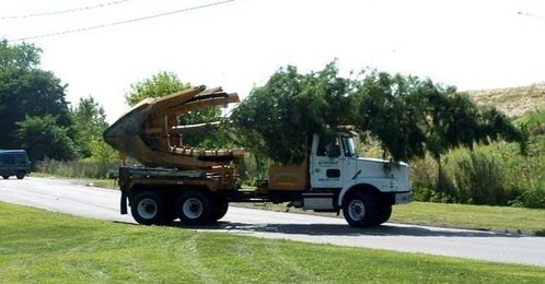 Spec_images_3_thumb_498x260