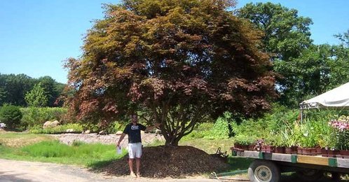 Spec_images_7_thumb_498x260