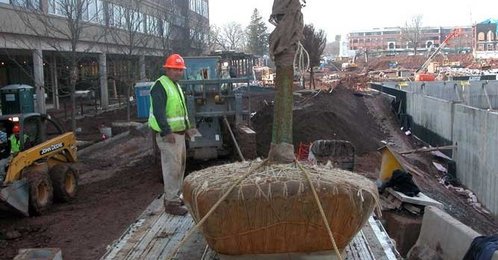 Spec_images_9_thumb_498x260
