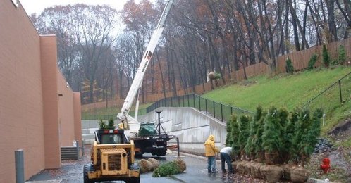 Crane_work_thumb_498x260
