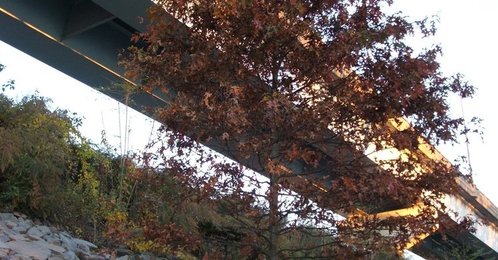 Adrians_landing_river_front_recapture_4_thumb_498x260