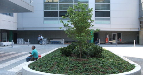 Odd_ends_010_thumb_498x260
