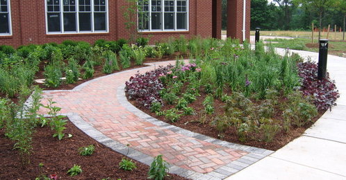 Paver_work_1_thumb_498x260