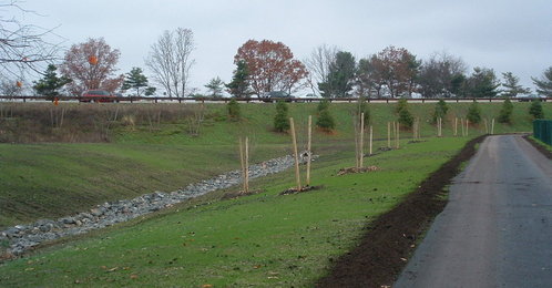 Dscf0008_thumb_498x260