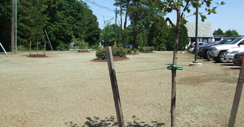 Gaylord_thumb_498x260