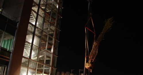 Dsc09566_thumb_498x260