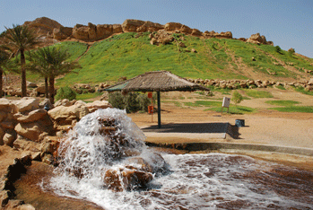 Al Ain Oasis