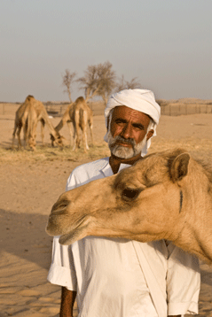 Local Madinet Zayed