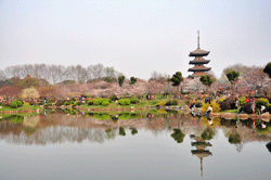 Wuhan China Garden