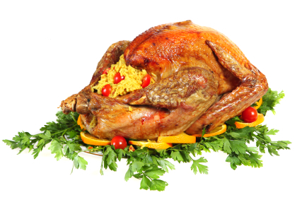 Thanksgiving Turkey Dinner